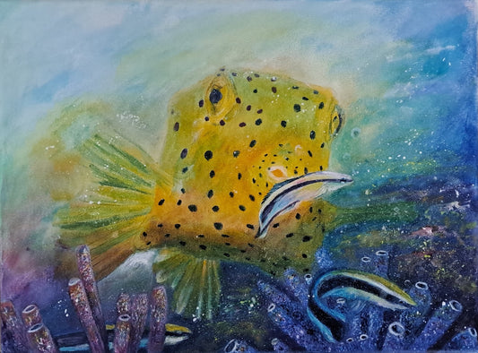 “Golden Wanderer of the Reef”