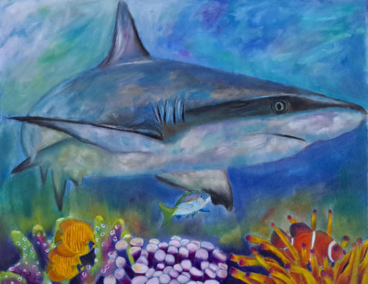 Reef Shark-SOLD
