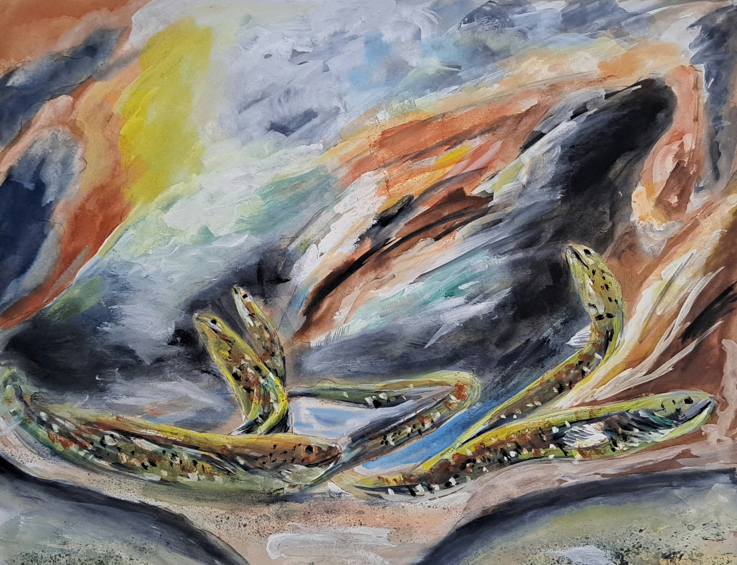 Lucid Eels