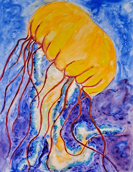 Sea Nettle