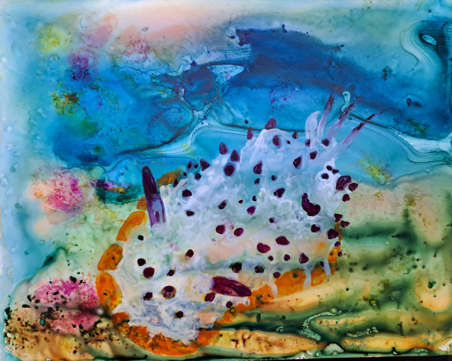 Sea Slug-SOLD