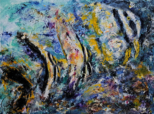 "A batfish's journey"