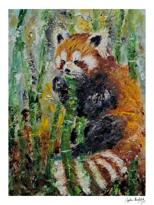 "Ember of the forest"