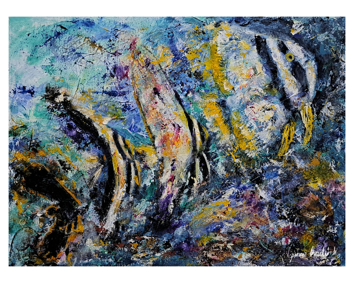 "A batfish's journey"