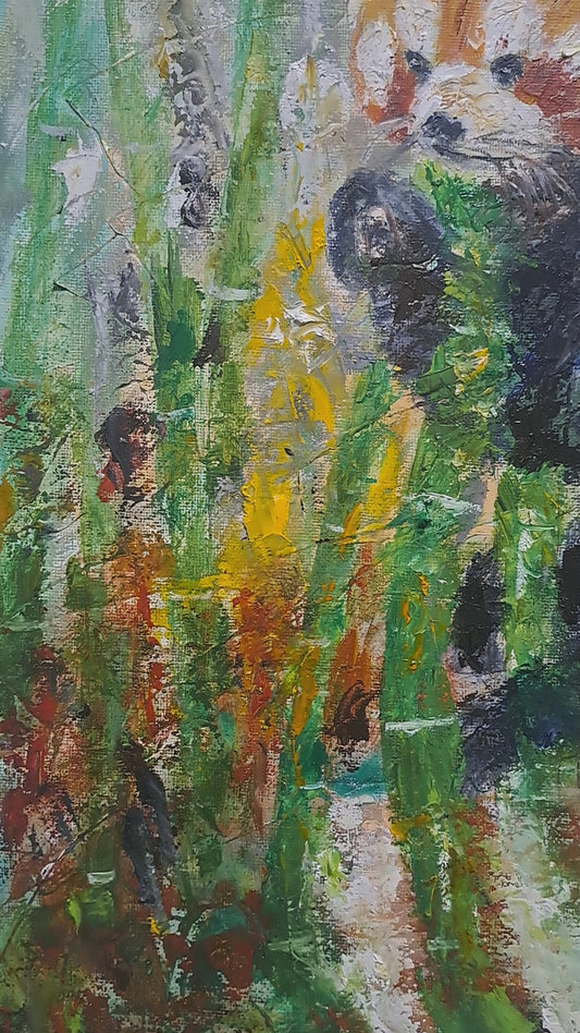 "Ember of the forest"